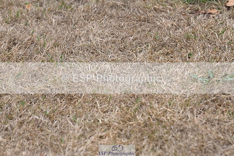 250820A-174154-12191 - Wednesday Presentations