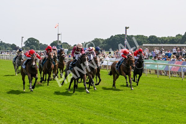 130625-Race 3-Easy Peeler-9010 - Race 3 3.00pm British EBF Supporting Racing With Pride Fillies' Handicap