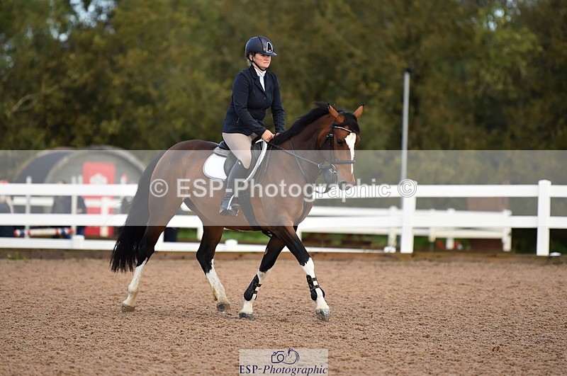 231014A-091814-03672 - Cls 12 British Novice & 90cm Open