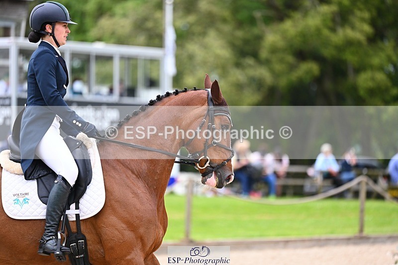 240524-115307-09065 - 522-OSBOURNE_D-Gemma_Gurvidi