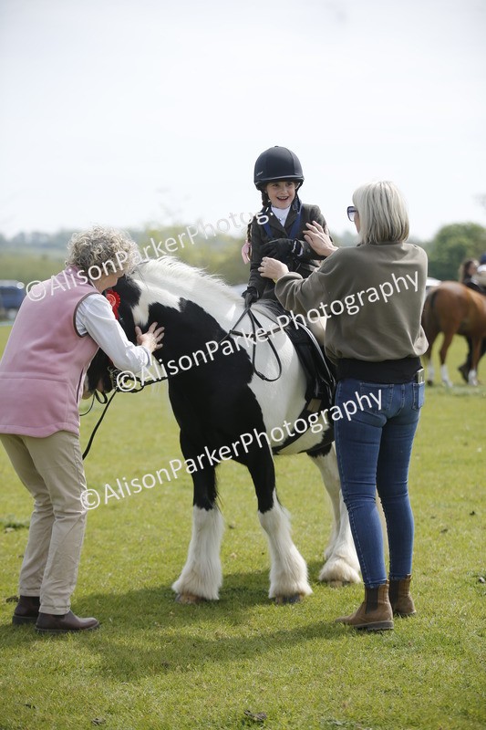 20260426-1884 - Class 7 - Pony Judge Would Most Like To Take Home