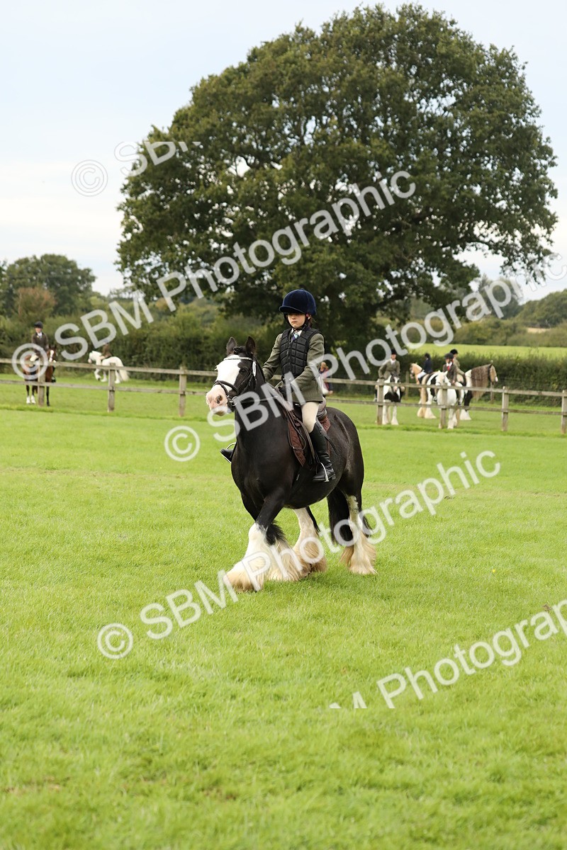 SBM_71688 - S41 - Ridden Equitation (Best Rider)
