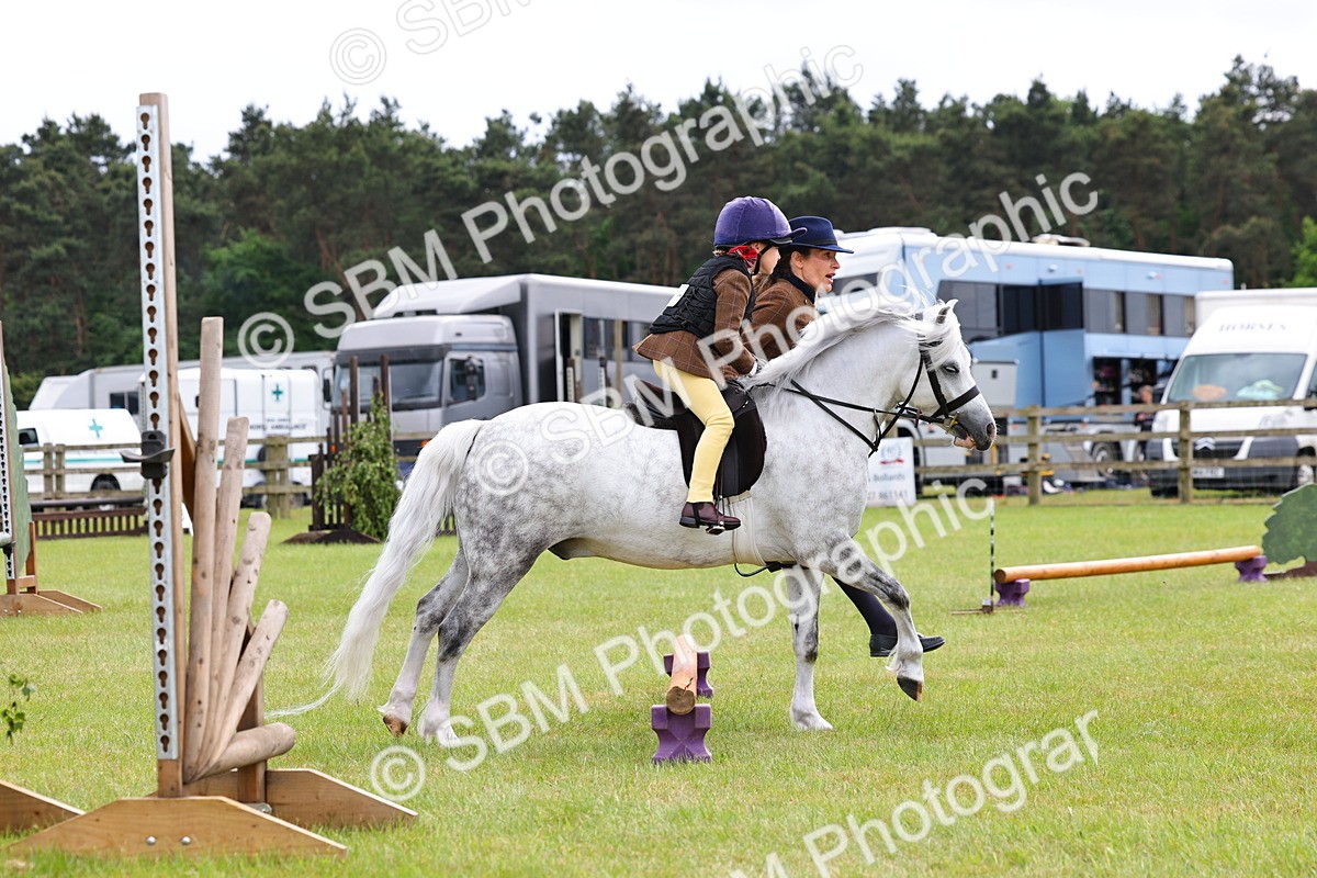SBM_08269 - Class 42-43 - LIHS BSPS Heritage Working Sports Pony