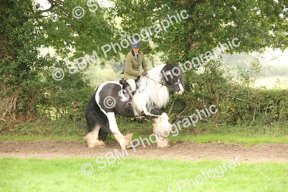 SBM_72717 - S70 - Traditional Cob Ridden