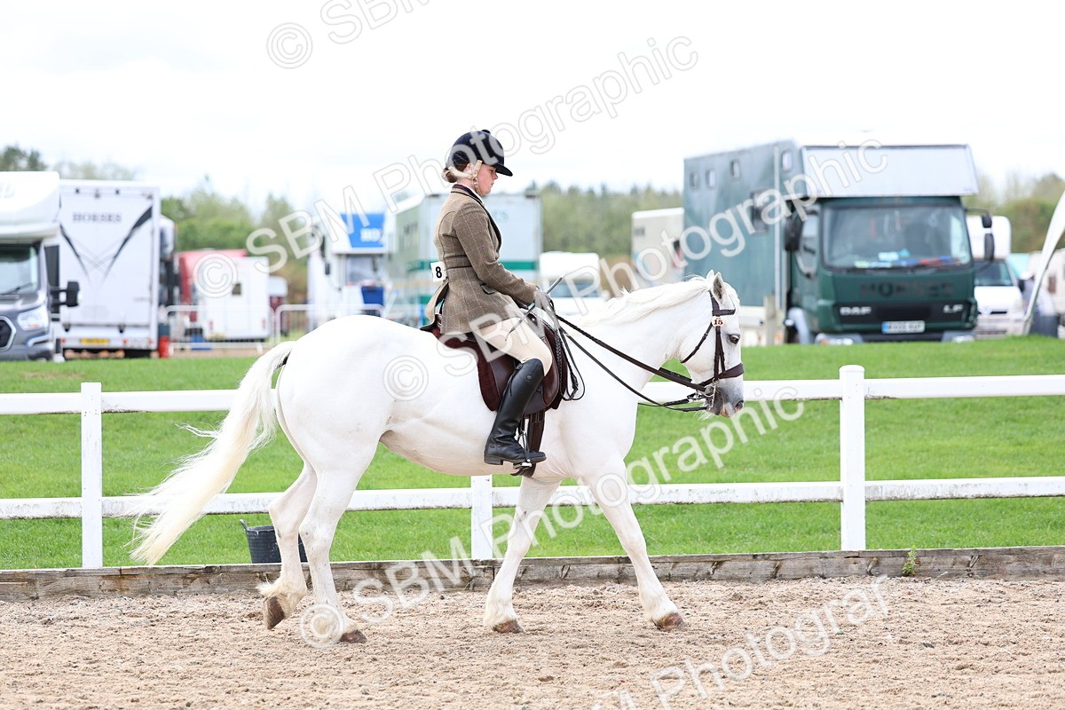 SBM_01512 - Class 17 - Prettiest Mare