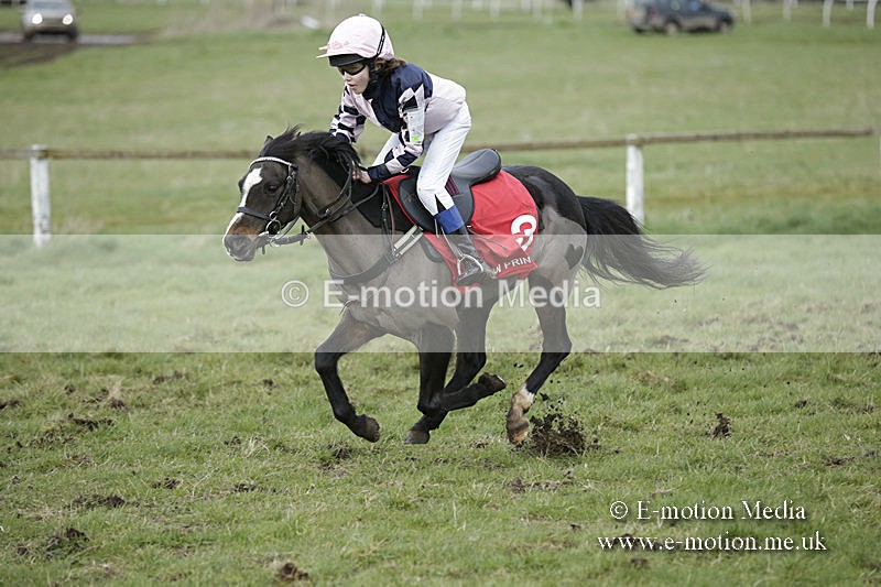 PtP 150320 0796 - New Forest Point-to-Point Larkhill 15/03/20