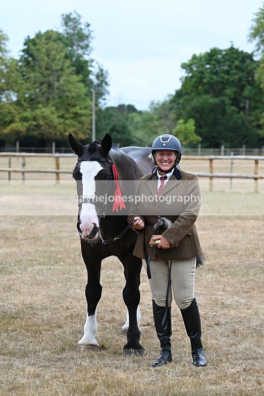 WJ7_0217 - Gelding Champs