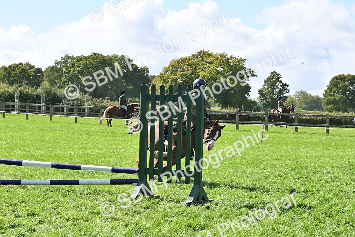 SBM_44530 - S13 - Pony Club Pony