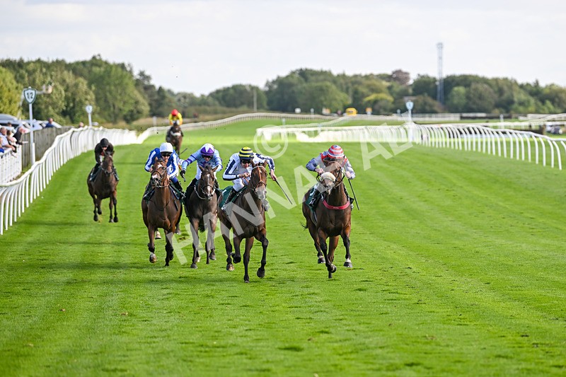 100924-Race 4-Scarboroughwarning-0319 - Race 4