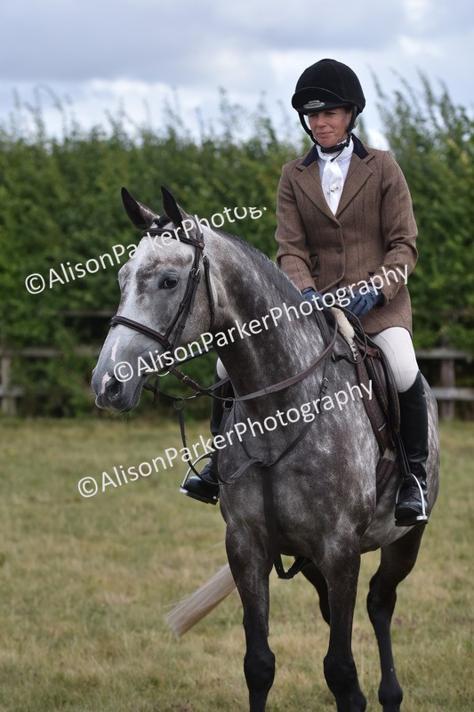 20250831-4145 - Class 13 - Working Hunter Horse or Pony