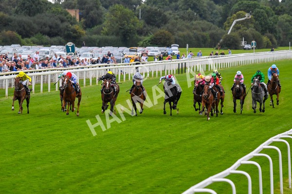 230823-Race 6-Designer-0779 - Race 6 4.45pm IRE Incentive, It Pays To Buy Irish Fillies' Handicap