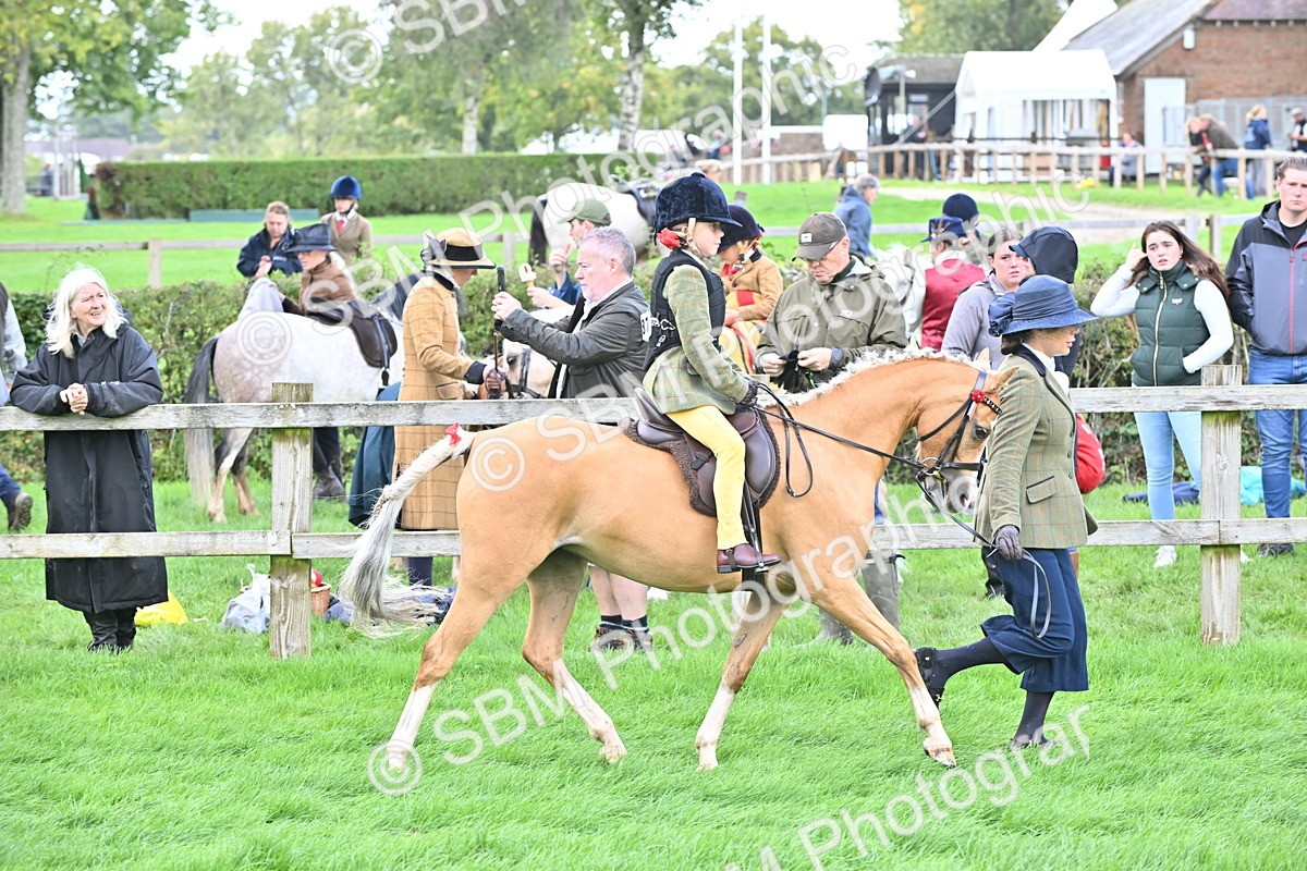 SBM_38328 - S19 - Lead Rein Show & Show Hunter Pony