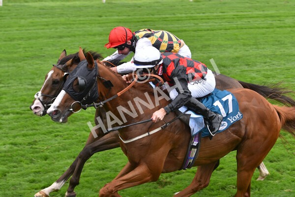 yr18082022r3-40 - Race 3 3.00pm Clipper Logistics Stakes