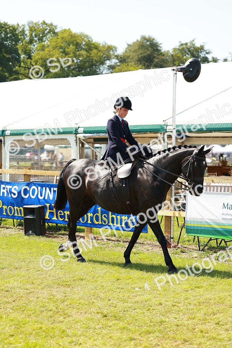 SBM_13435 - Class 70-71 - Side Saddle