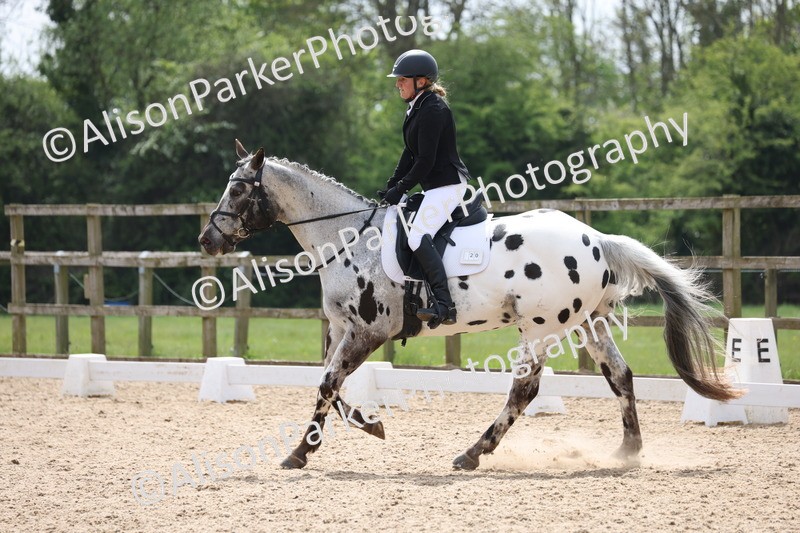 20250424-0751 - Class 5 - Novice 3