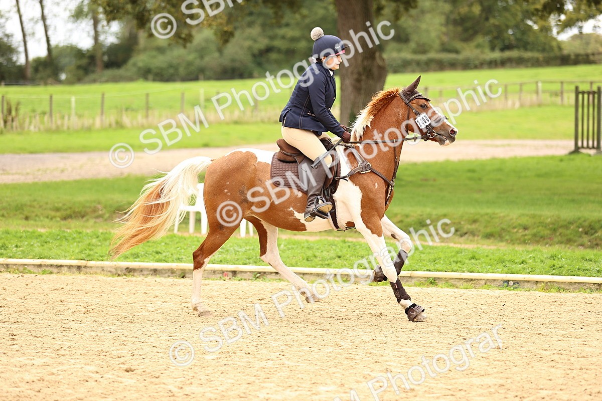 SBM_65557 - J17 - Junior Pony 80cm Championship