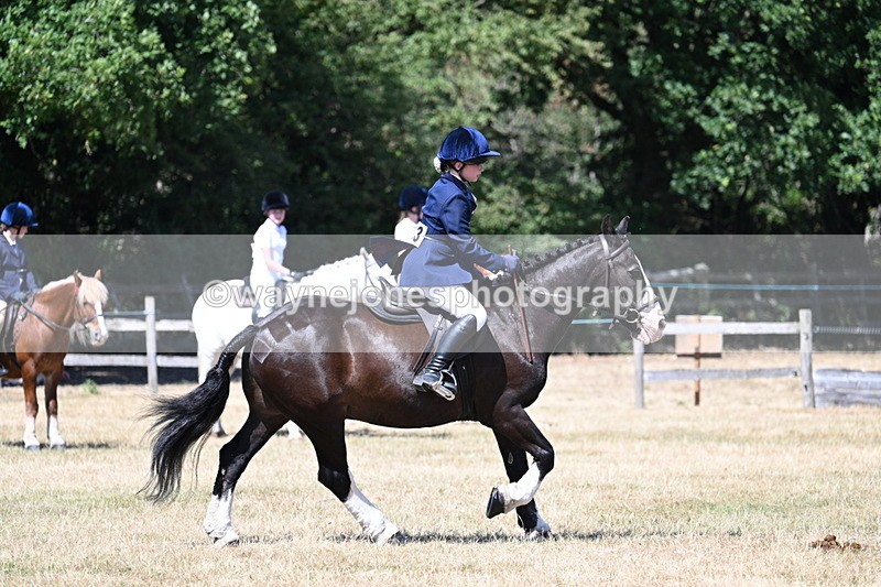 WJ7_3715 - Class 8 Ridden Veterans