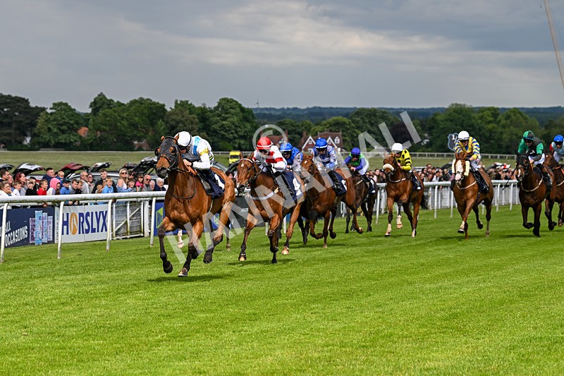 290524-Race 5-Distinction-6449 - Race 5