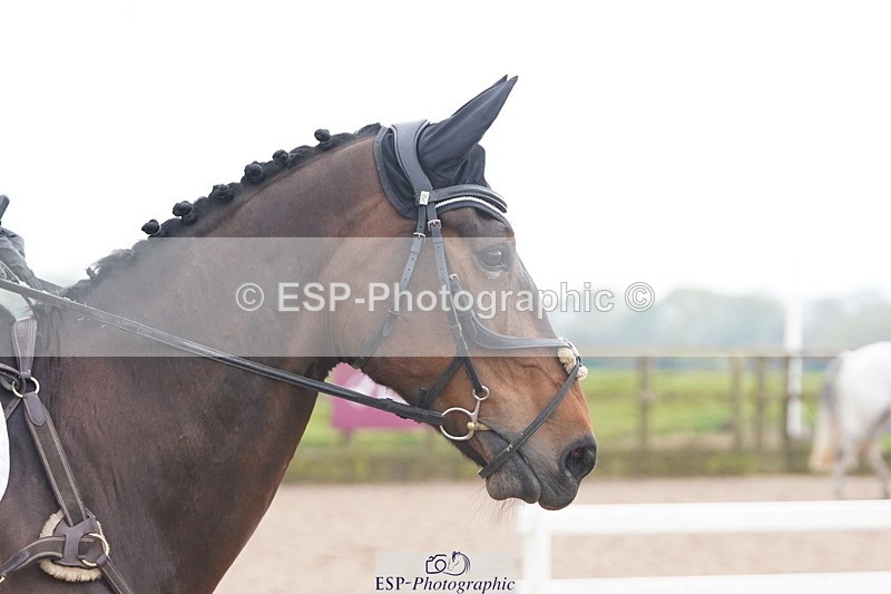 250419-113704-09438 - 570-Natasha.Aldridge-VOLANTE.HSH