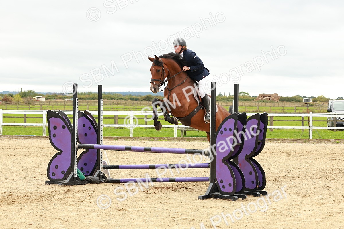 1I0A6974 - Class 2 - Senior British Novice