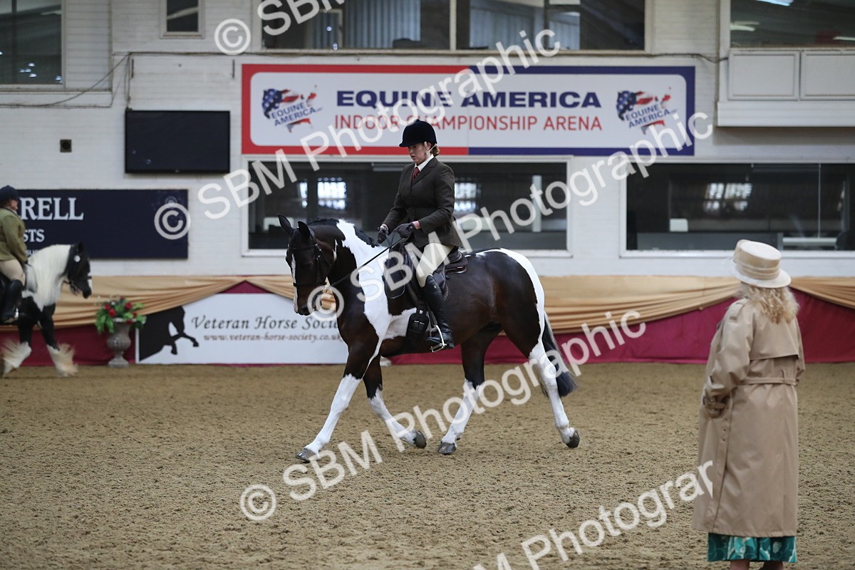 SBM_10403 - Class 102 Equitation (best rider) Adult