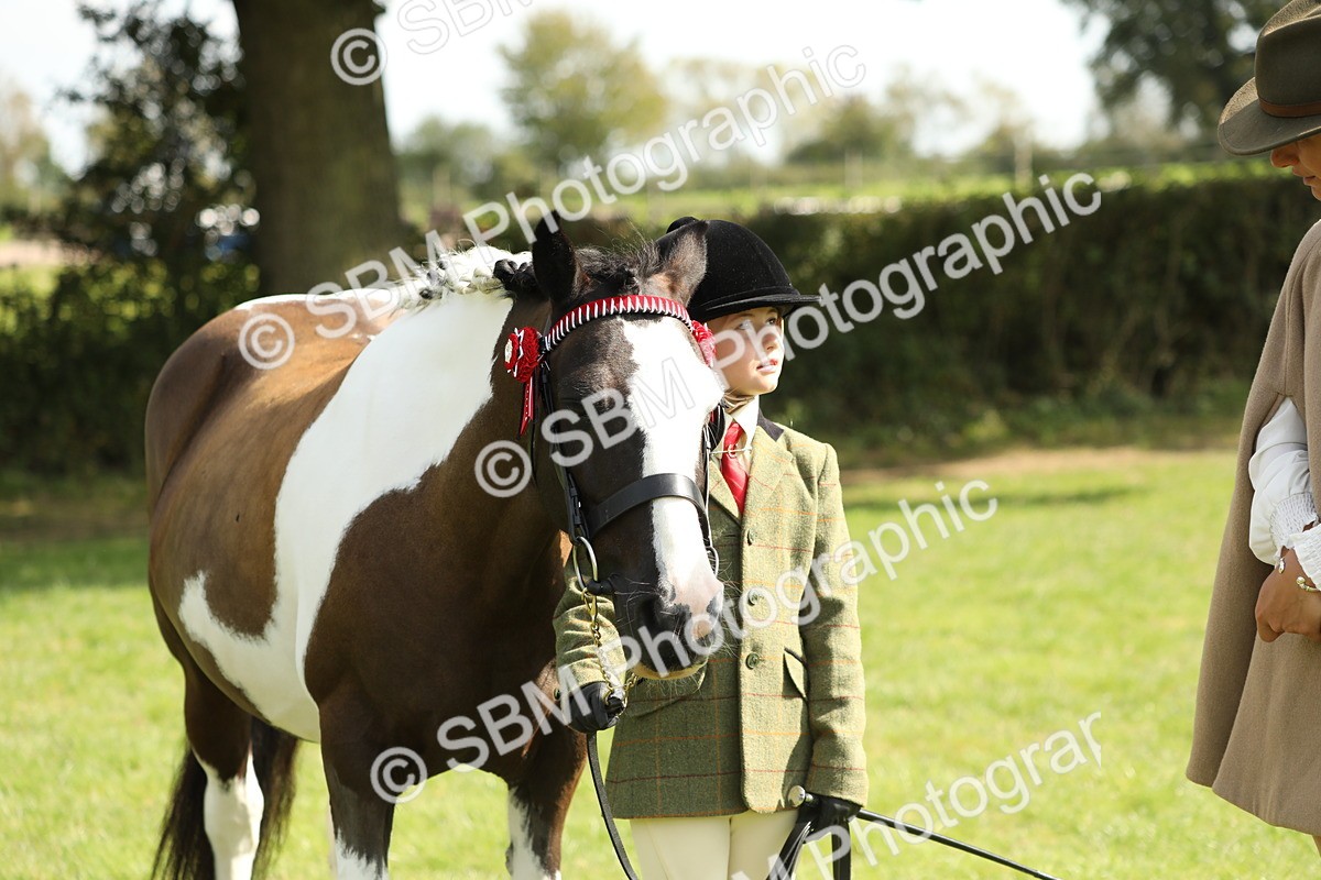 SBM_67790 - S39 - Junior Handler 8  Years & Under
