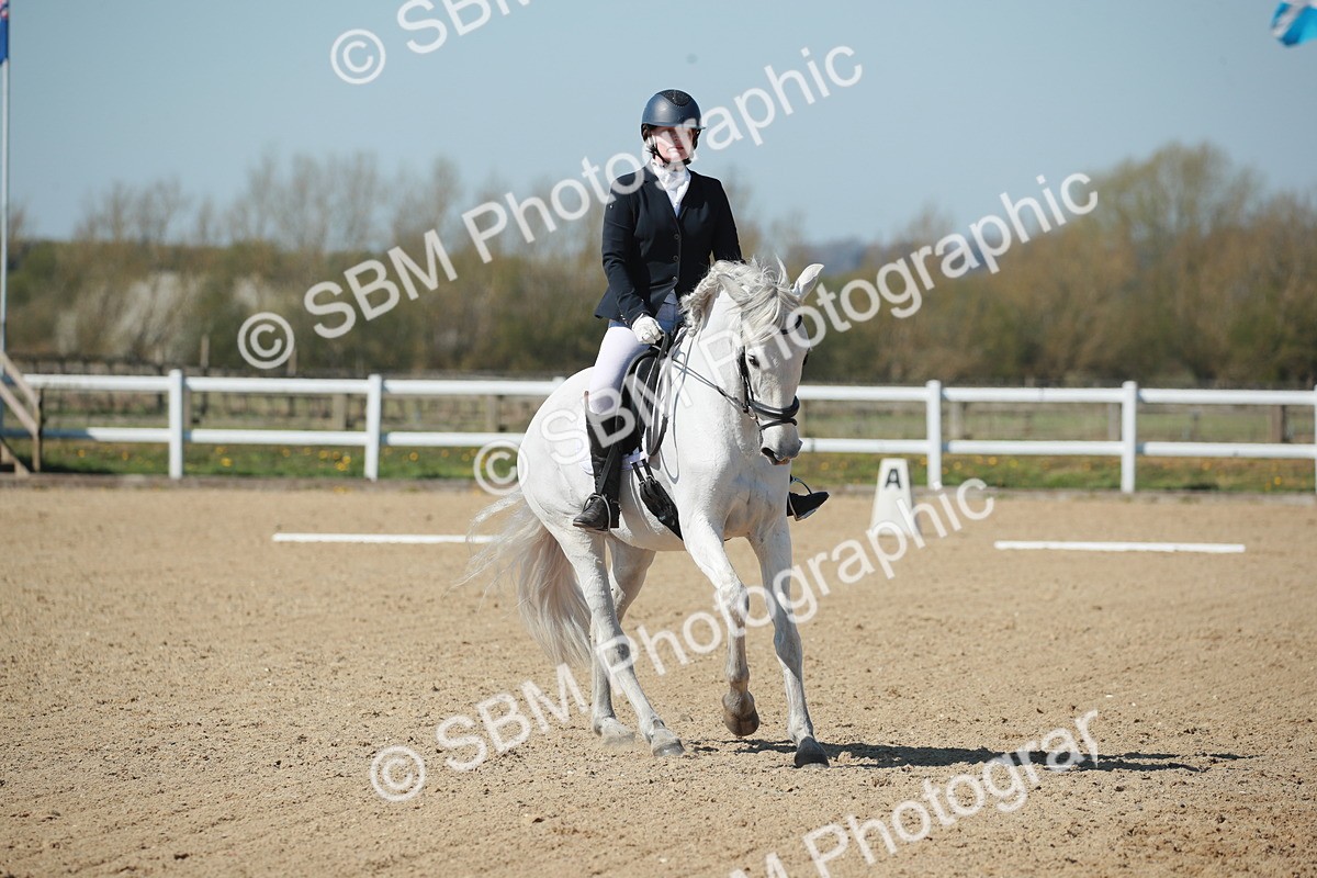 SJ3_0972 - Class 2-5-4-6-7 - Paso Doble-Golega-Sevilla-Lisboa-Novato