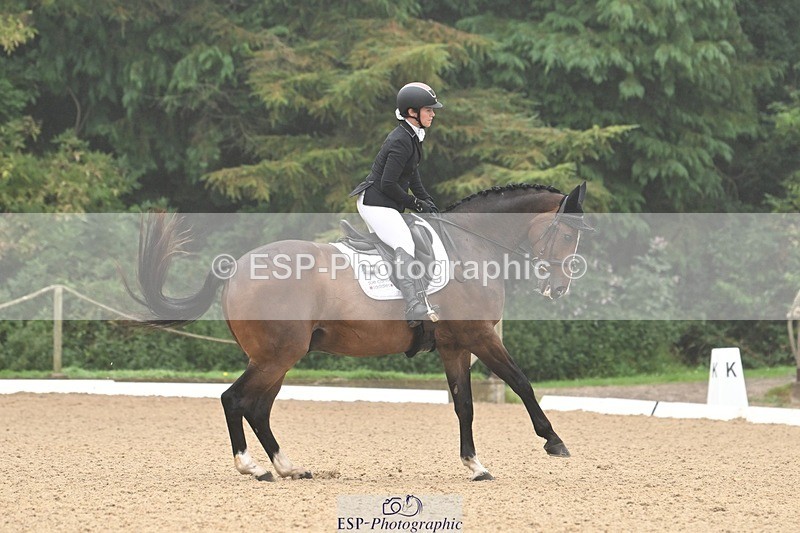 240811-094037-04832 - 119-Alice.Kneen-Dazzling.Springtime