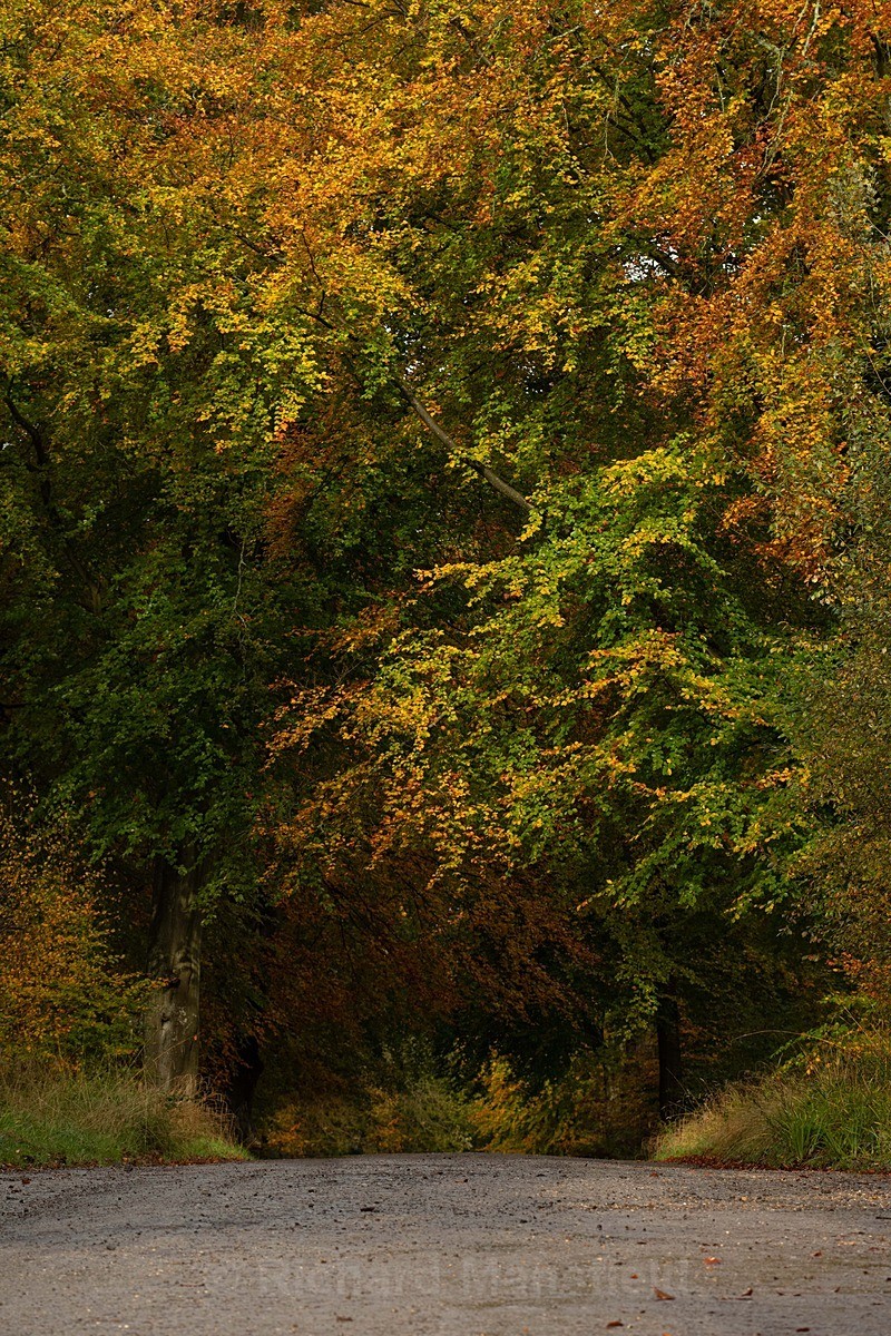  - Autumn