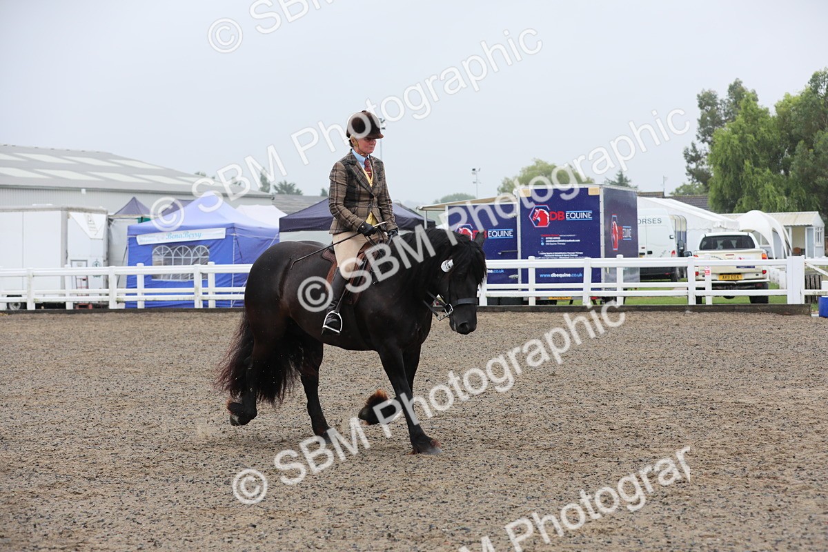 SBM_20304 - Class 803 - Ridden Combination 65+