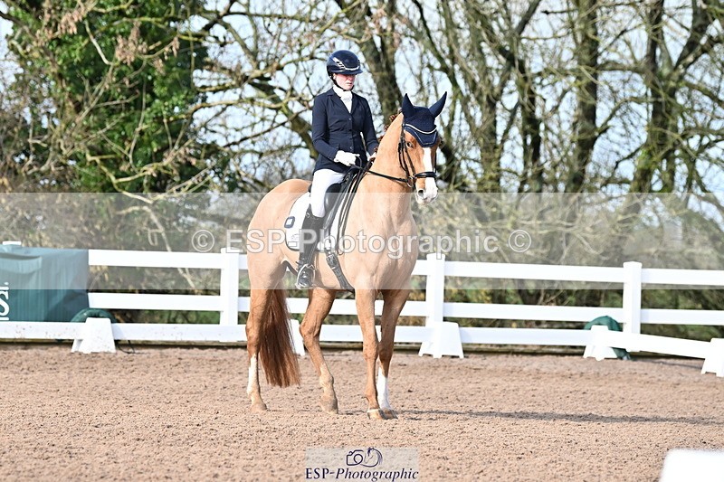 240218A-114104-06796 - 272-Beth.Bainbridge-Newton.Dreamcatcher