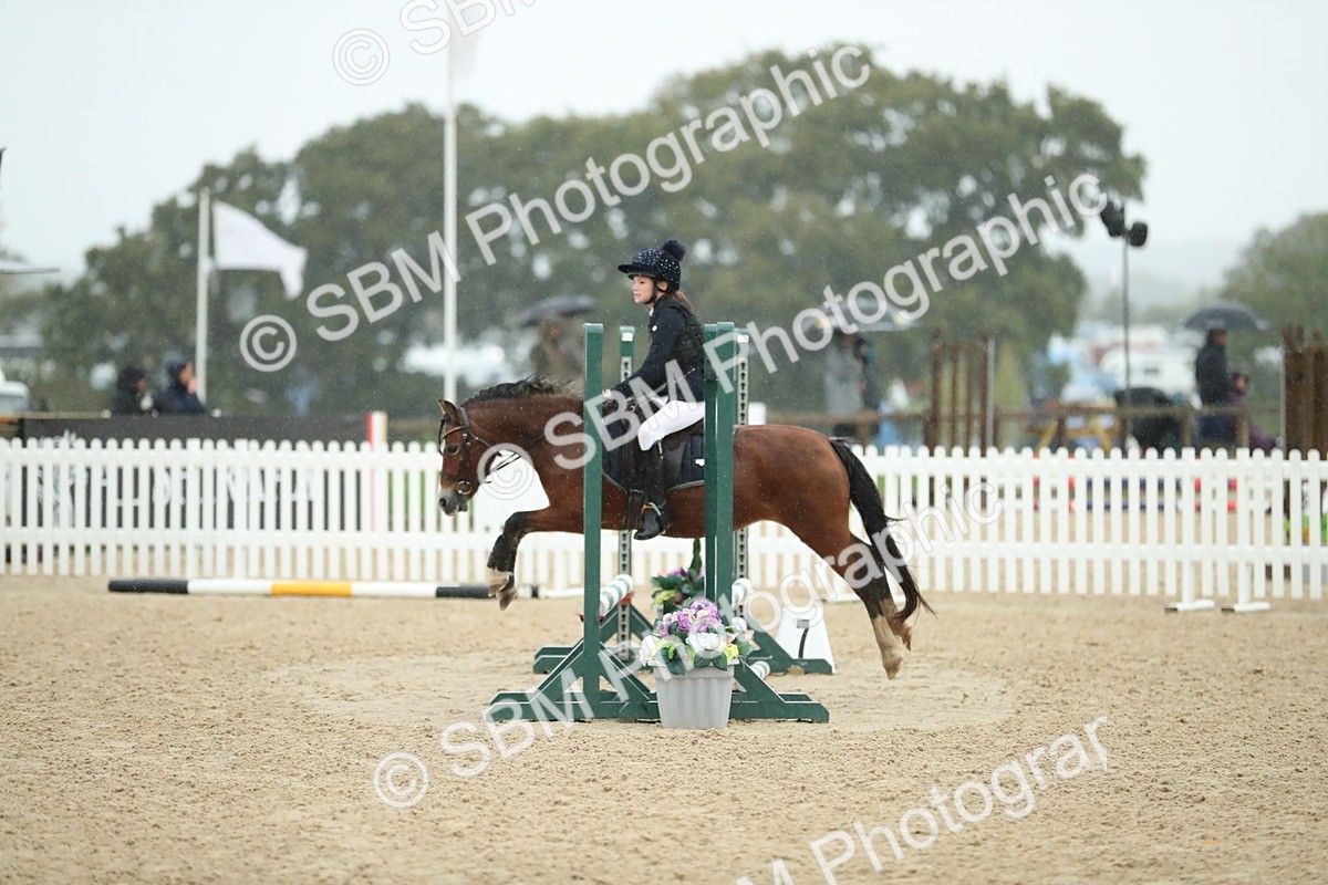 SBM_34331 - J60 Clear Round 50cm