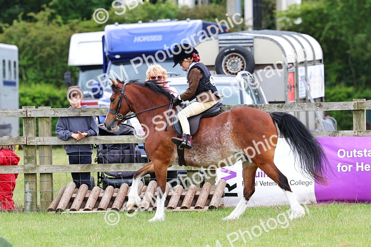 SBM_08778 - Class 42-43 - LIHS BSPS Heritage Working Sports Pony