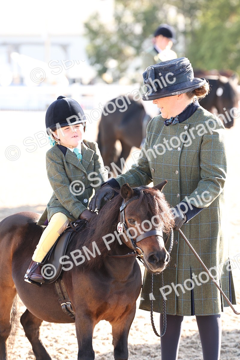 SBM_10869 - Class 202 - Best Turned Out - Ridden