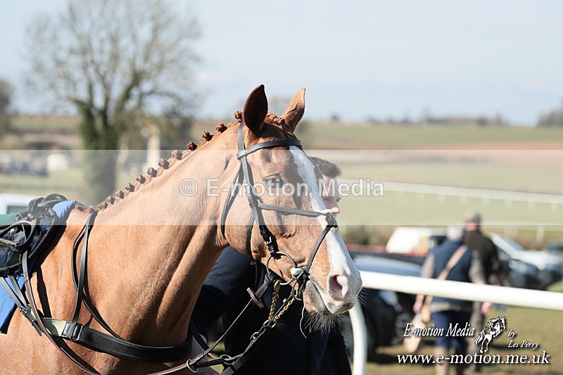 PtP 010325 8 - Beaufort Races Didmarton 01/03/25