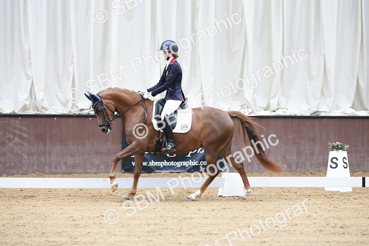 SBM_017197 - Class15 - FEI Pony