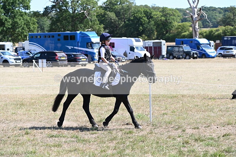 WJ6_8375 - Class 37a Best Loan Pony Ridden