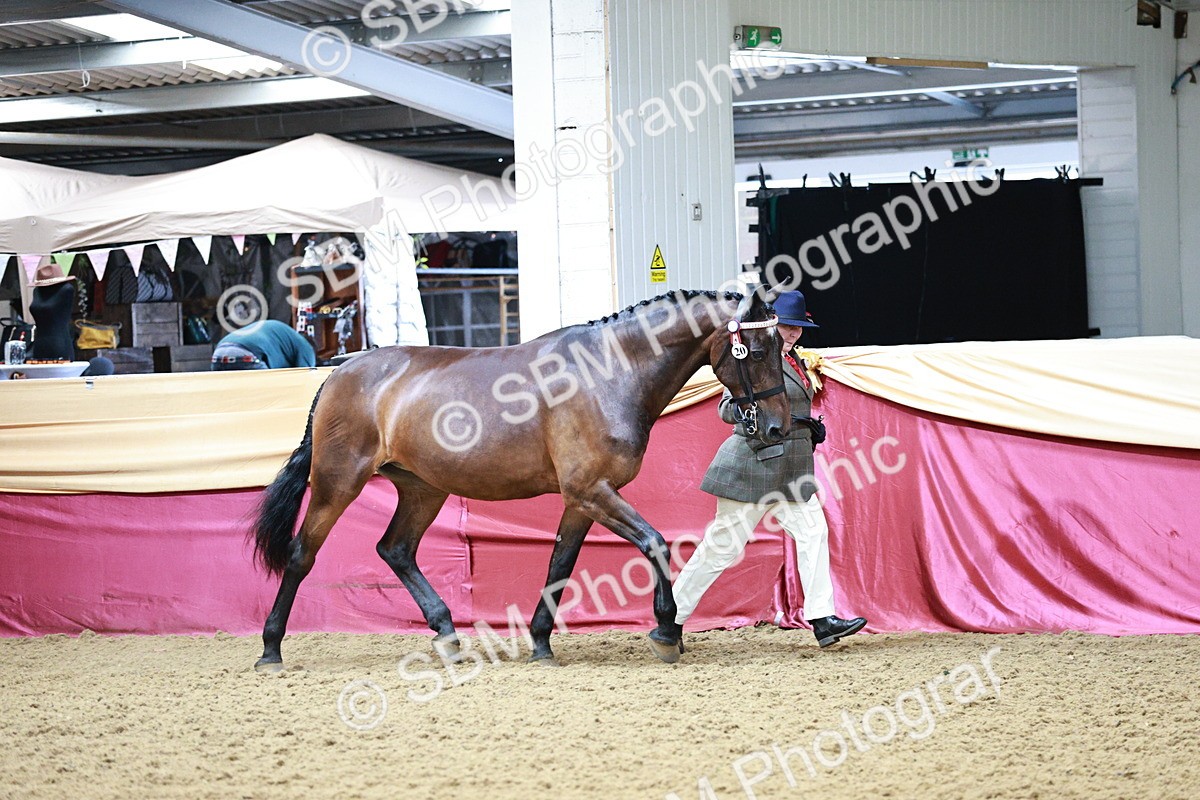 SBM_00871 - Class 2A - Area IH Veteran