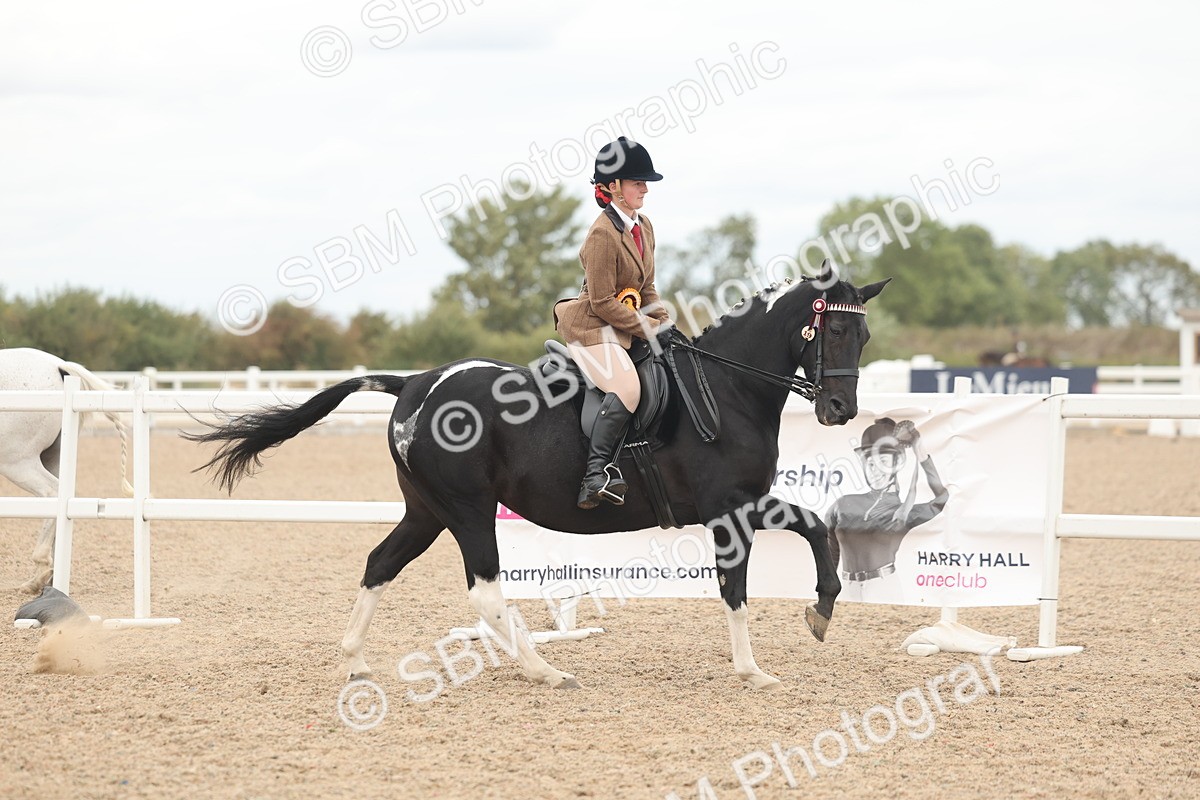 SBM_18238 - Class 315 - Best Horse-Rider Combination