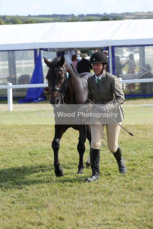 1X9A5930 - Class 41:. NPS New Forest & Connemara