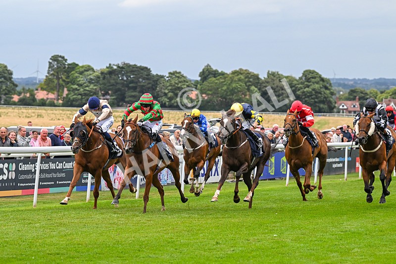 150824-Race 4-Opal Storm-8055 - Race 4