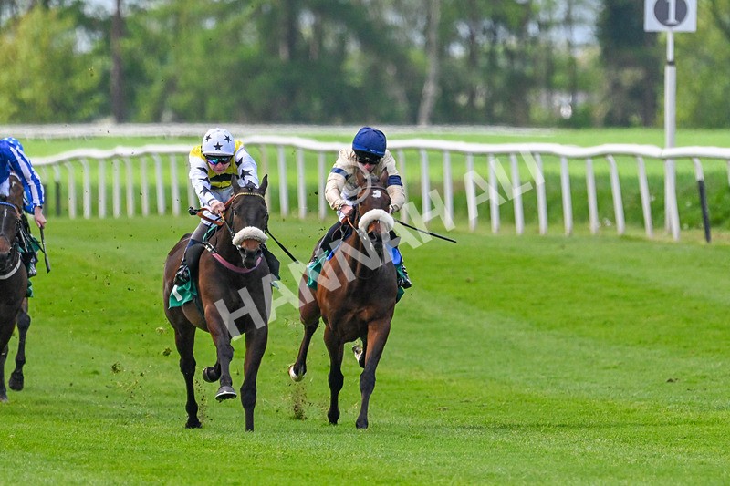 020526-Race 1-Arapaho Gold-9114 - Race 1 1.35pm Steve Poskitt's 60th Birthday Restricted Maiden Stakes