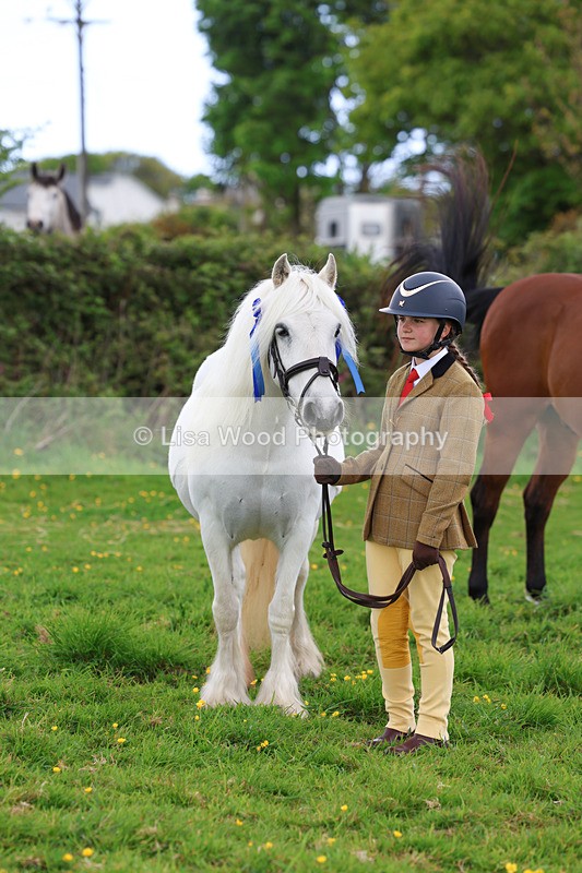 3E7A0859 - In Hand Championship