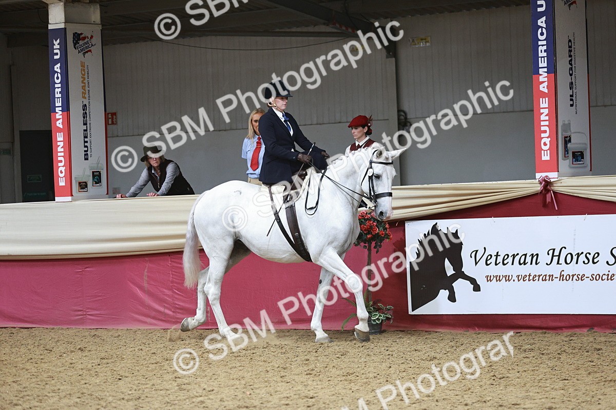 SBM_08796 - Class 12R - Regional Ridden Pre-Vet