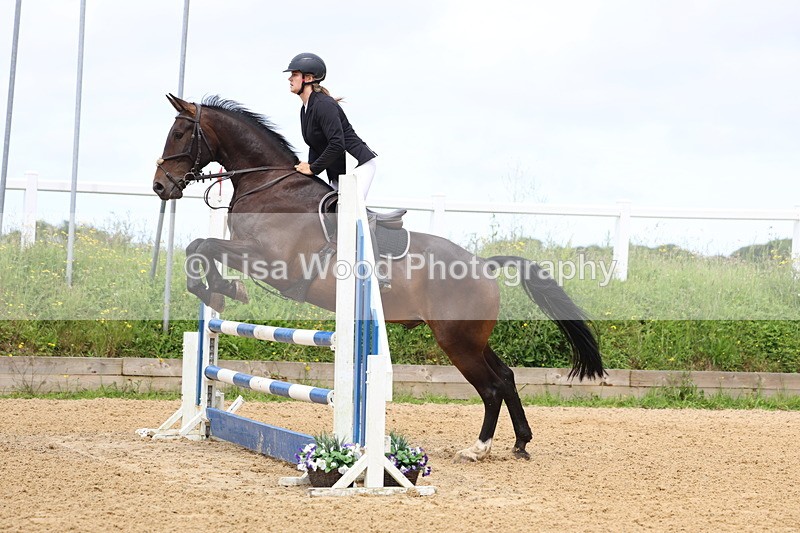 3E7A5950 - Class 4: Senior British Novice/90cm open