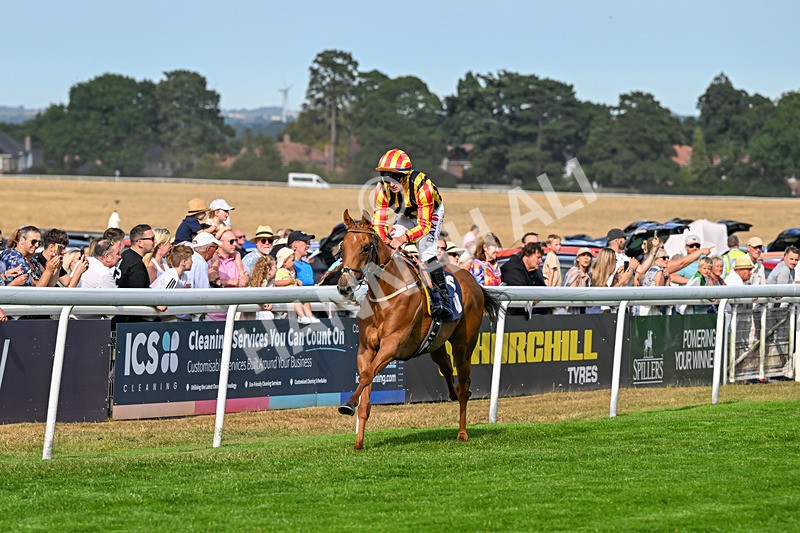 130826-Race 6-Saxon Grace-9898 - Race 6 16.45pm Racing Again On Saturday 29 August Handicap