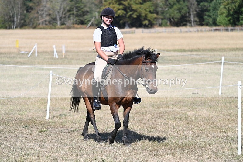 WJ7_1449 - Class 42 Most Handsome Gelding
