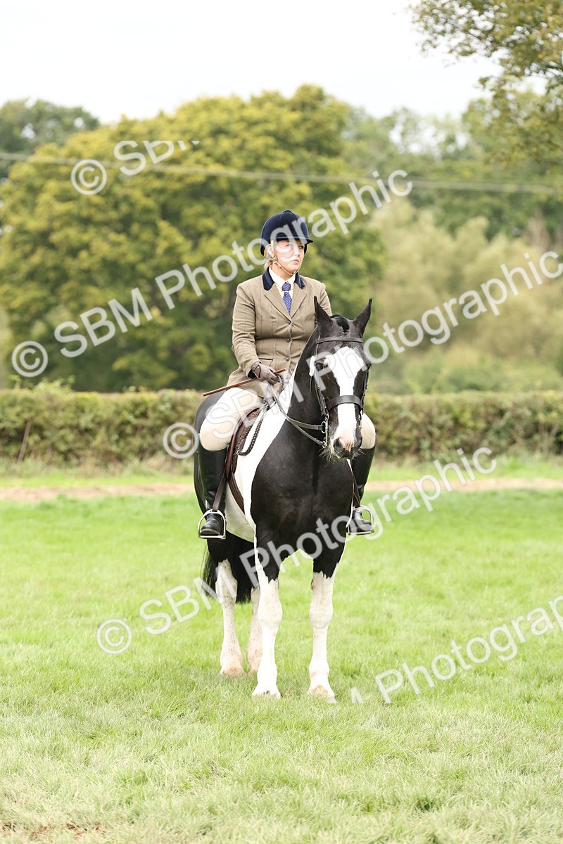 SBM_67294 - S67 - Piebald & Skewbald Horse Ridden