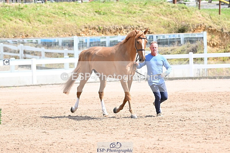 240717A-150646-02547 - Trot Up 3pm to 4pm