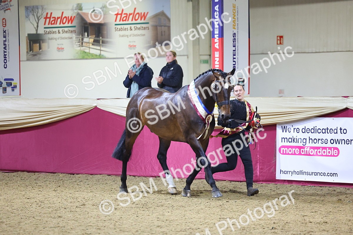 0B8A4558 - Class P Veteran Champ